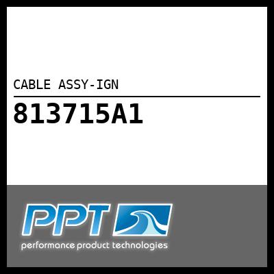 CABLE ASSY-IGN