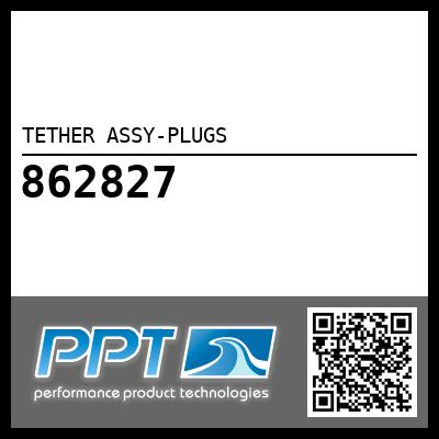 TETHER ASSY-PLUGS