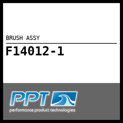 BRUSH ASSY